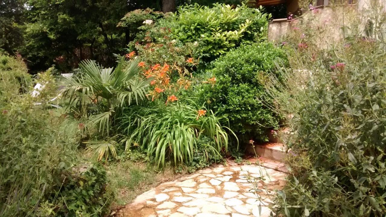 La Bousquatiere Acomodação com café da manhã Piolenc Exterior foto